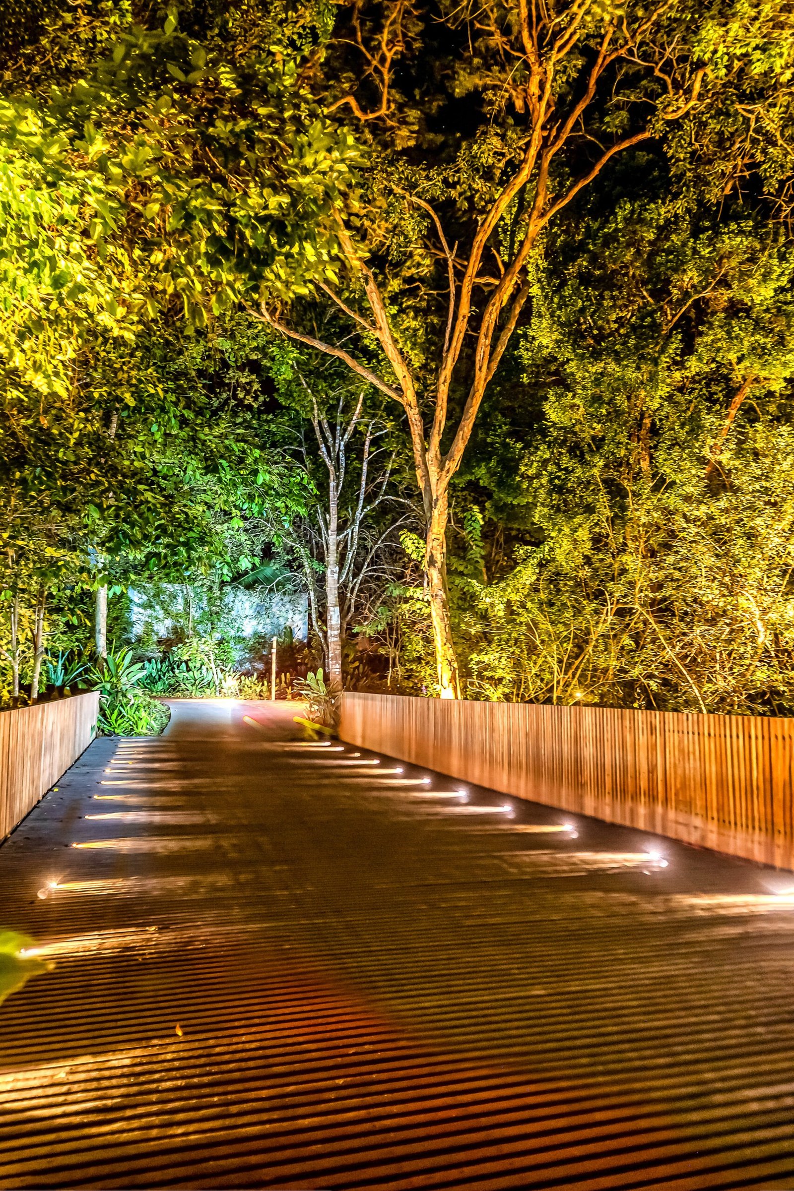 Projeto Luminotécnico Fasano Trancoso