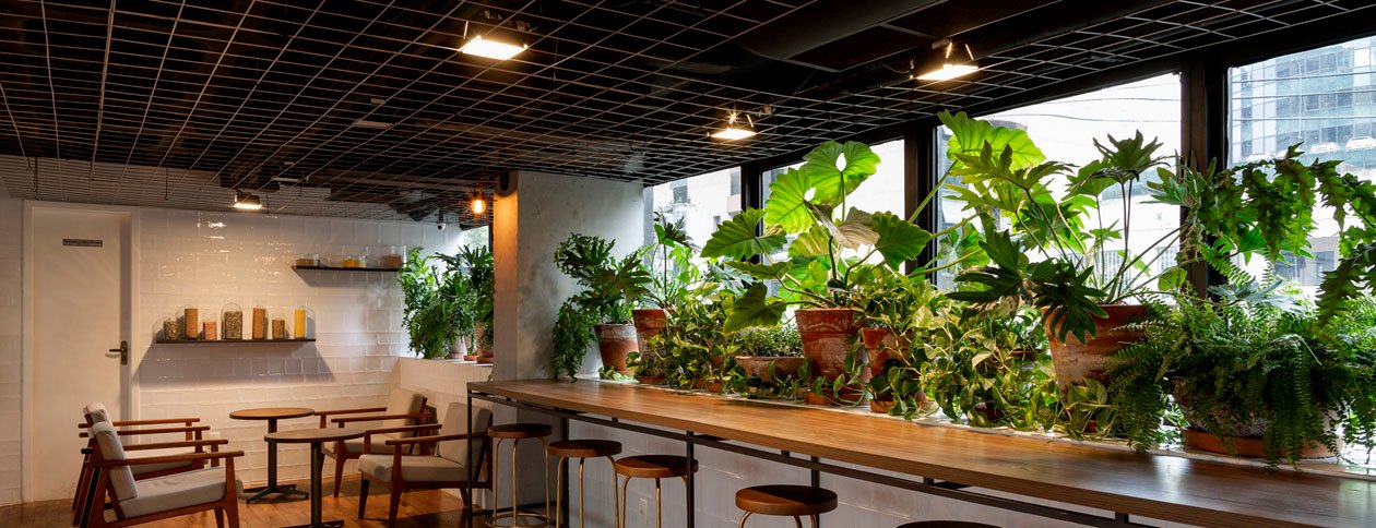 Projeto Luminotécnico Tess Kitchen